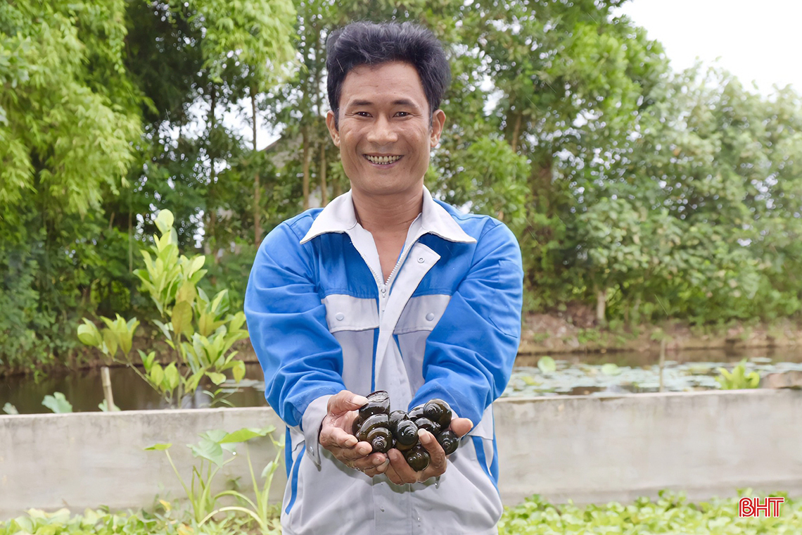 Tỷ phú nông dân ở Hà Tĩnh từng nghèo khó, nay giàu có nhờ nuôi lươn đồng, cua đồng, ốc bươu đen đặc sản - Ảnh 6.
