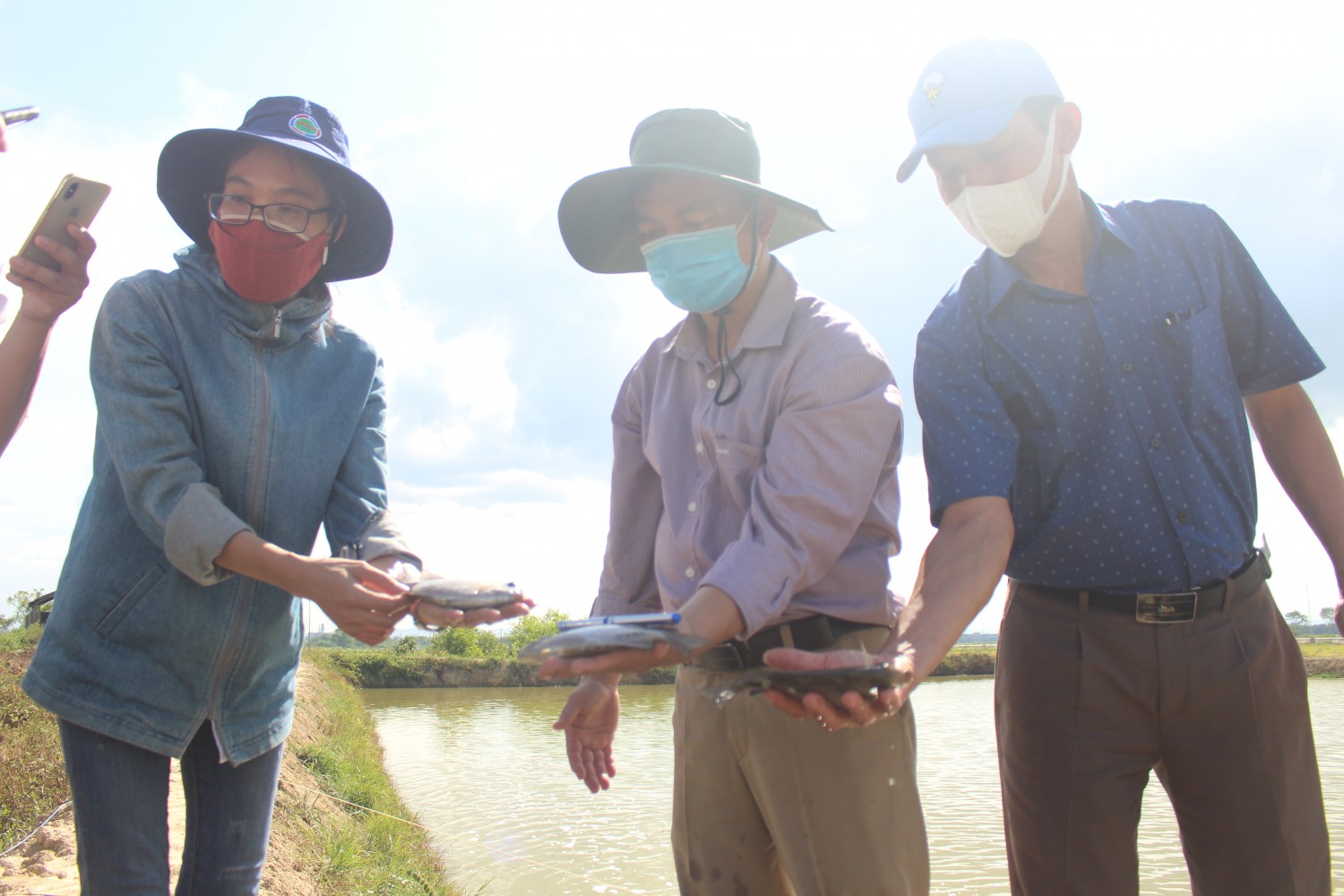 Nuôi cá dìa đặc sản trong ao đất bỏ hoang do nuôi tôm, nông dân Quảng Trị bắt lên bán 140.000 đồng/kg - Ảnh 1.