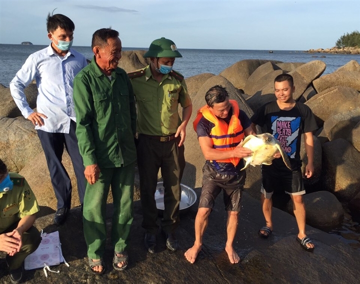 Tin nóng Hà Tĩnh: Đang đi chăn trâu, người đàn ông bắt được vích biển quý hiếm nặng 6kg - Ảnh 2.