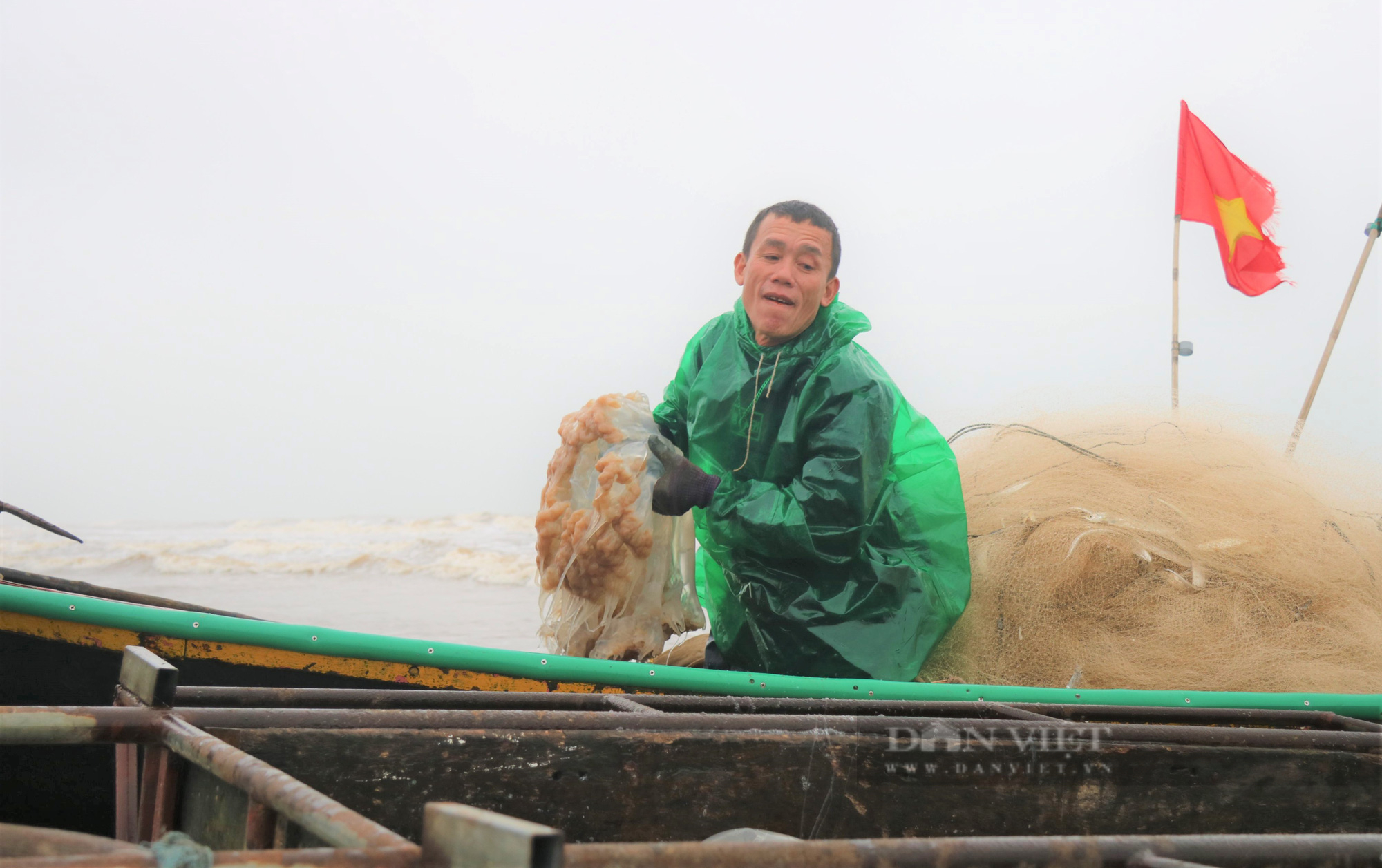 Ngư dân Hà Tĩnh vào mùa thu hoạch sứa biển, bỏ túi hàng triệu đồng mỗi ngày - Ảnh 5.