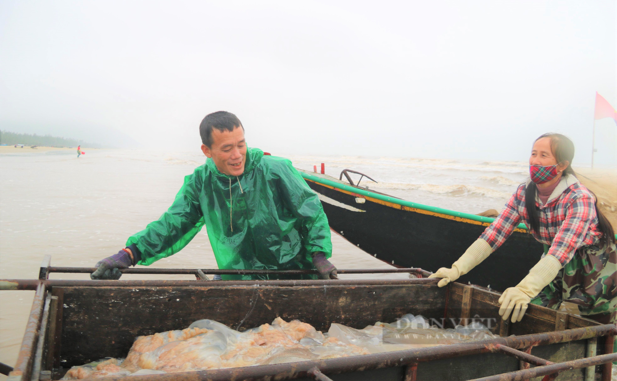 Ngư dân Hà Tĩnh vào mùa thu hoạch sứa biển, bỏ túi hàng triệu đồng mỗi ngày - Ảnh 2.