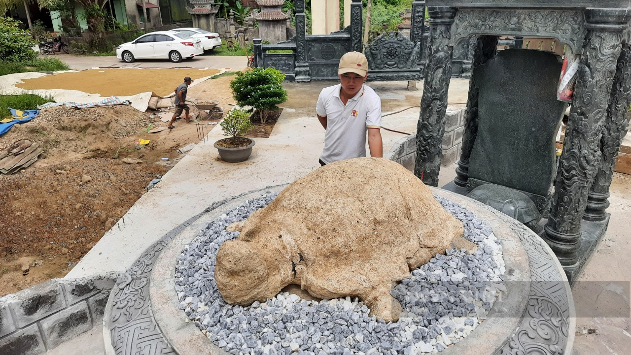 Rùa đá hơn 400 năm ở Quảng Trị, 8 người bưng không nổi - Ảnh 1.