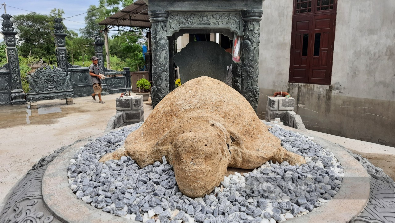 Rùa đá hơn 400 năm ở Quảng Trị, 8 người bưng không nổi - Ảnh 3.