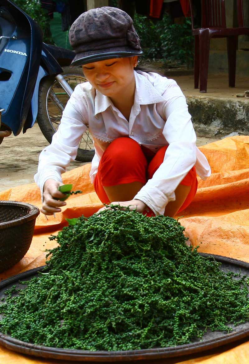 Vùng Cùa ở Quảng Trị có giếng cổ trăm năm nước vẫn trong đầy, của ngon vật lạ không thiếu - Ảnh 3.