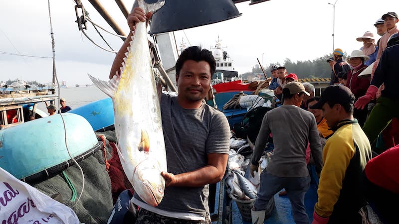 Ngư dân kể chuyện 32 giờ đánh mẻ cá "khủng" 120 tấn - 1