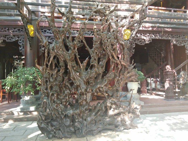 Bộ rễ gỗ trai tiền tỷ tuyệt đẹp của ông chủ thầu Hà Tĩnh - Ảnh 1.