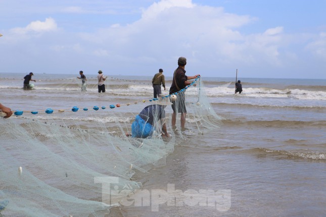Quăng mẻ lưới 'trúng đậm' hàng tấn cá, ngư dân thu trên chục triệu đồng ảnh 1