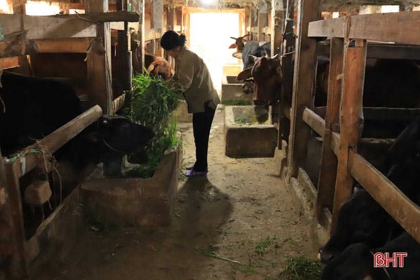 Bí quyết “biến” đất hoang thành trang trại tiền tỷ của cựu cán bộ xã ở Hương Sơn