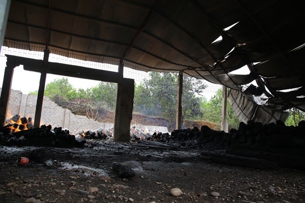 Đại gia phố núi Hà Tĩnh khóc ngất vì kho gỗ hương 17 tỷ cháy thành than - Ảnh 1.