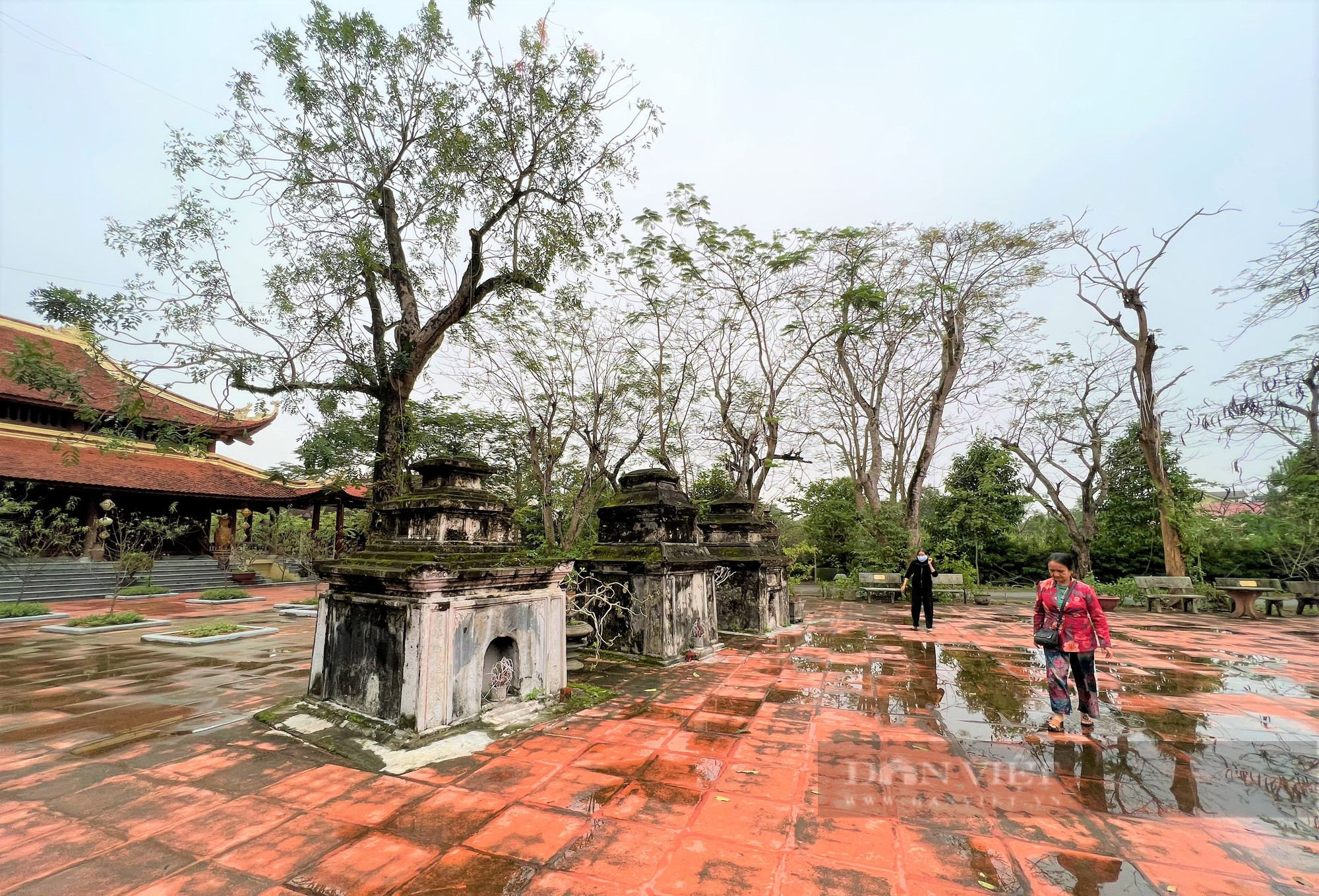 Cận cảnh cổng Tam quan chùa Thành Lương (Hà Tĩnh), được làm bằng gỗ lim &quot;khủng&quot; - Ảnh 10.