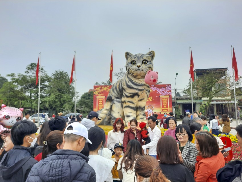 'Miss mèo' Quảng Trị thu hút hàng vạn người đến chụp ảnh ảnh 1