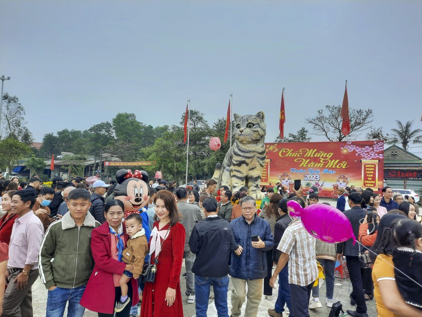 'Miss mèo' Quảng Trị thu hút hàng vạn người đến chụp ảnh ảnh 2