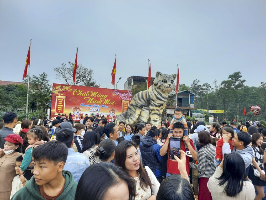 'Miss mèo' Quảng Trị thu hút hàng vạn người đến chụp ảnh ảnh 3