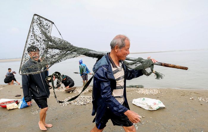 Từ sáng sớm, người dân nối nhau có mặt tại bờ biển xã Thịnh Lộc để vớt “lộc biển” mặc thời tiết lạnh giá. Dụng cụ của họ là vợt sắt dài 1,5m, gắn lưới dài khoảng 2m. Sau đó, ngư dân đi ra ngoài vùng biển sâu 60-80cm ngụp lặn xúc sò.