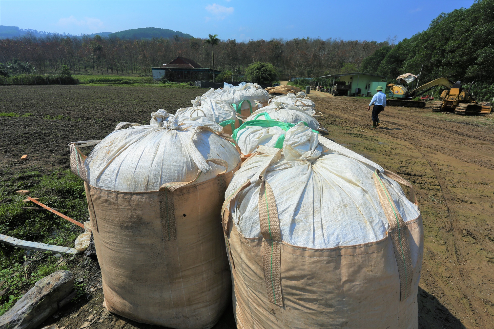 Trang trại nuôi trâu gần 20 tỷ của nông dân Hà Tĩnh - Ảnh 3.