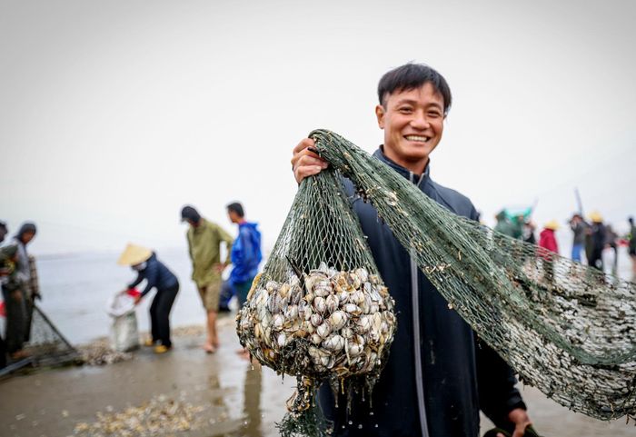 Anh Dương Thanh Hán (49 tuổi, trú xã Thịnh Lộc) chia sẻ, trong 3 ngày gần đây lượng sò lông đổ về bãi biển nhiều, anh cùng người thân trong gia đình sau hơn 2 giờ ngụp lặn đã bắt được khoảng 50kg sò lông. 