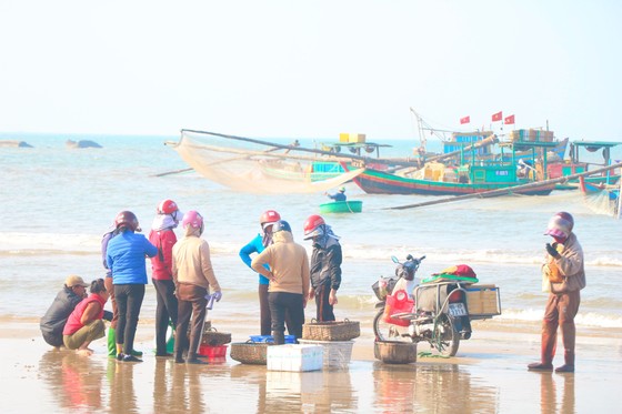 Hà Tĩnh: Ngư dân trúng đậm cá cơm biển đầu năm ảnh 7