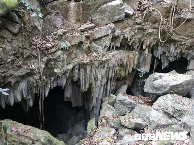 Phát hiện hang động thạch nhũ tuyệt đẹp, có hình thù kỳ lạ ở Quảng Trị - Ảnh 3.