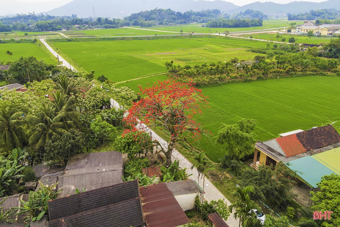 Chiêm ngưỡng vẻ đẹp quyến rũ mùa hoa gạo nở ở miền sơn cước Hà Tĩnh