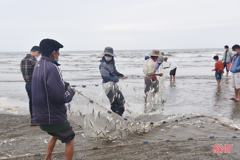 Hà Tĩnh: Nghề kéo lưới rùng để khai thác hải sản cho lợi nhuận cao, tới 1,8 triệu mỗi người một ngày - Ảnh 3.
