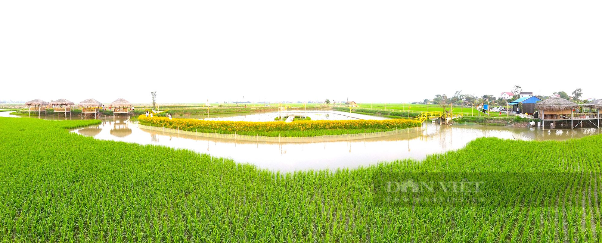 Hà Tĩnh: Mô hình nông nghiệp tuần hoàn “3 trong 1”, lợi nhuận hàng trăm triệu đồng mỗi năm - Ảnh 4.